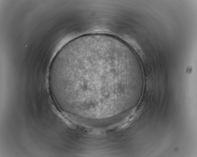 X0000097601374200803141907