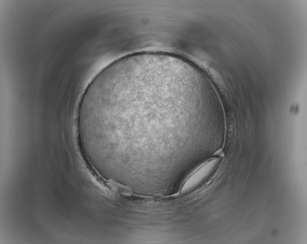X0000097601375200803141907