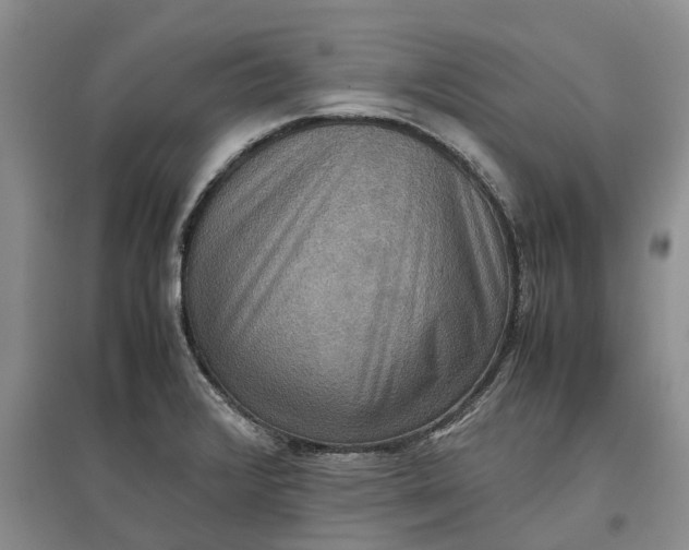 X0000097601376200803141907