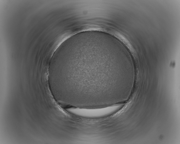 X0000097601377200803141907