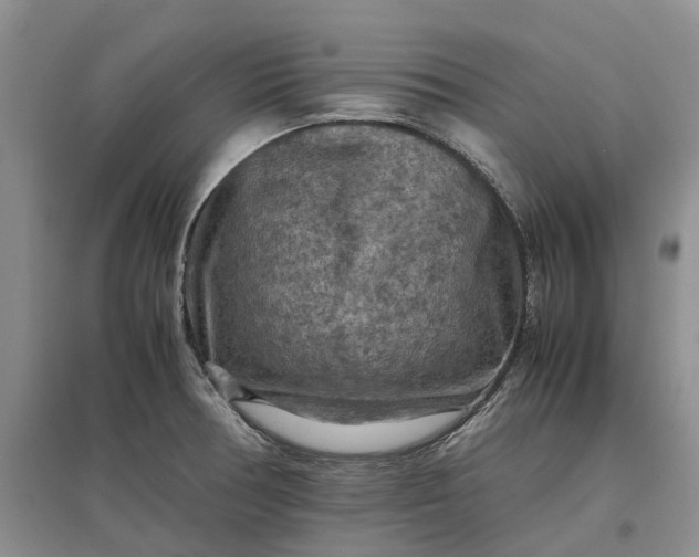 X0000097601378200803141907