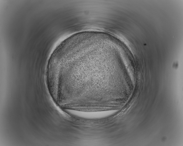 X0000097601379200803141907