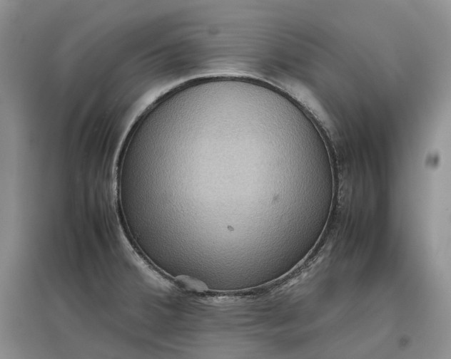 X0000097601380200803141907