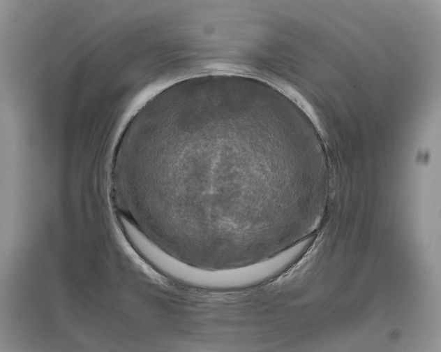 X0000097601381200803141907
