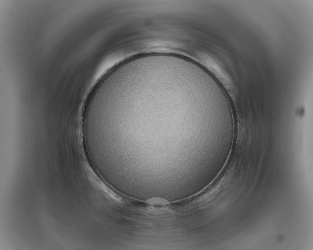 X0000097601384200803141907
