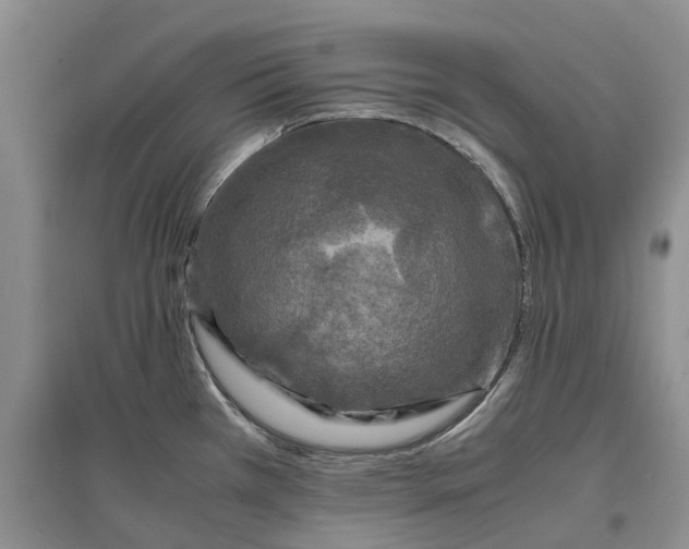 X0000097601385200803141907