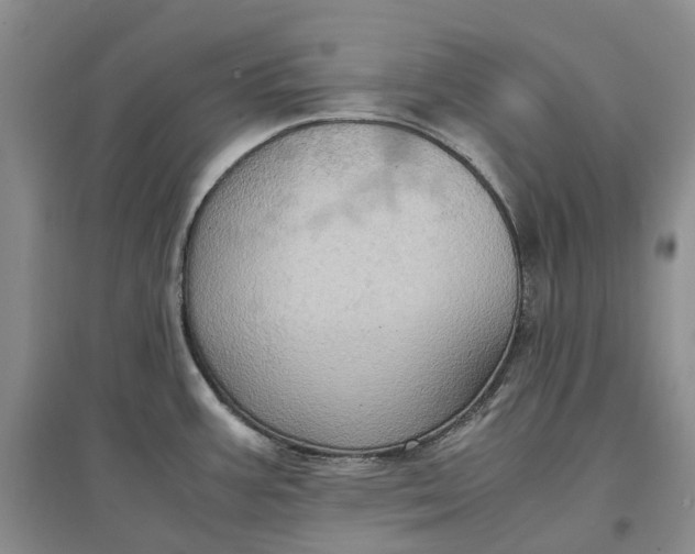 X0000097601387200803141907
