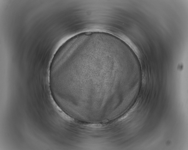 X0000097601388200803141907