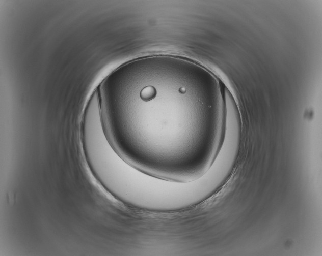 X0000097601389200803141907