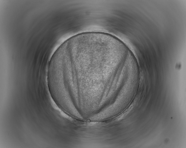 X0000097601390200803141907