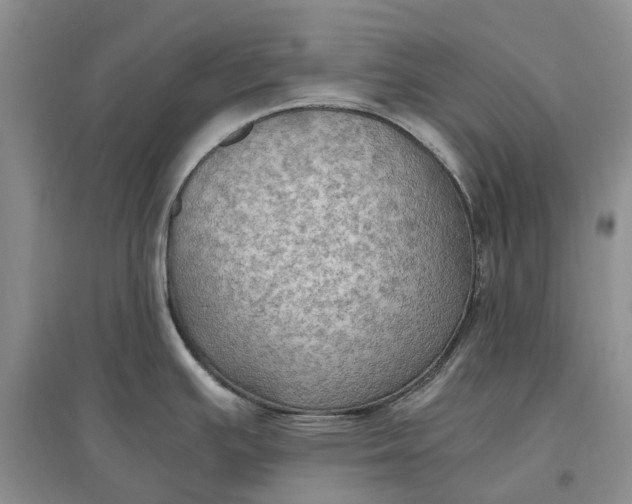 X0000097601391200803141907