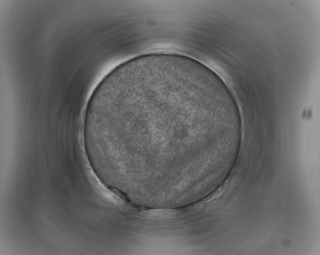X0000097601392200803141907