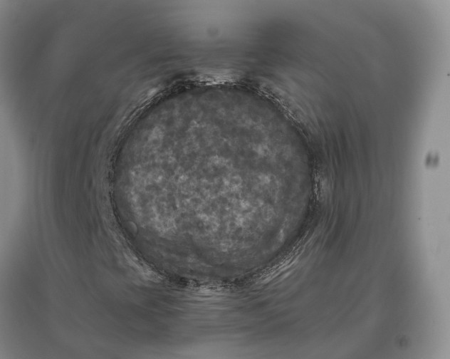 X0000097601393200803141906