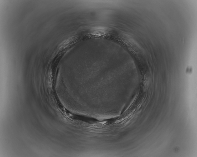 X0000097601394200803141906