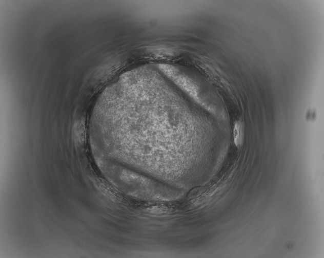X0000097601395200803141906