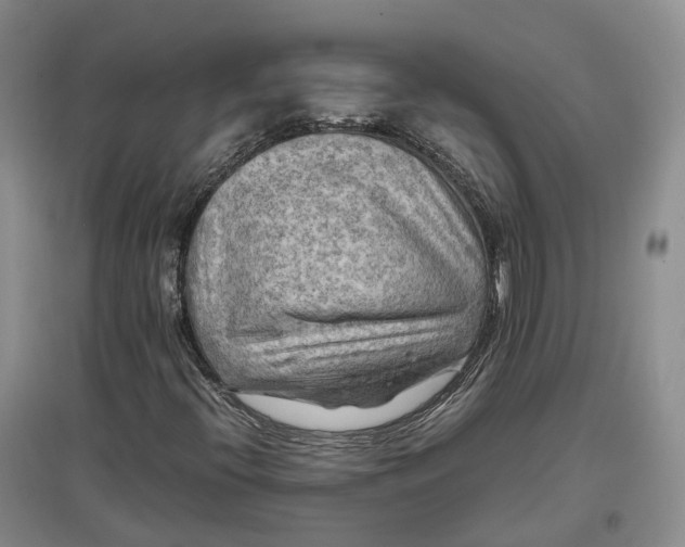 X0000097601396200803141906