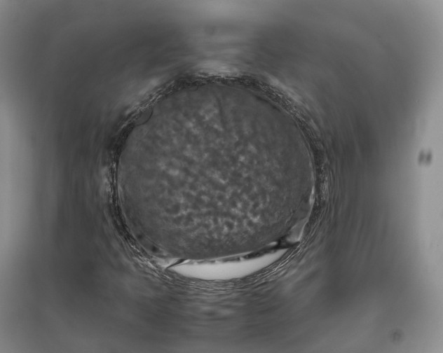 X0000097601397200803141906