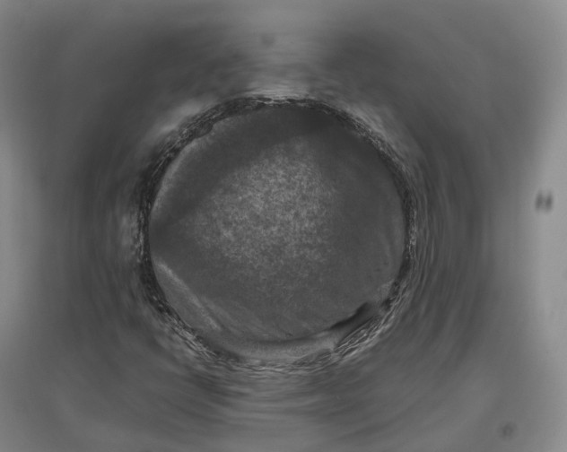 X0000097601398200803141906