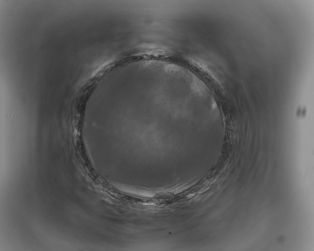 X0000097601399200803141906