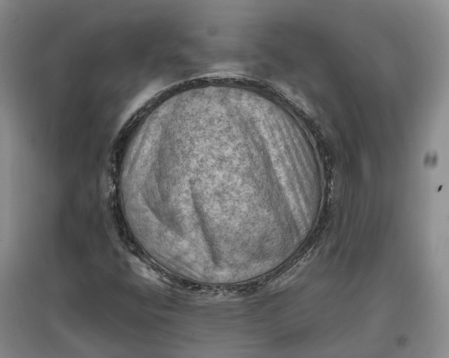 X0000097601400200803141906