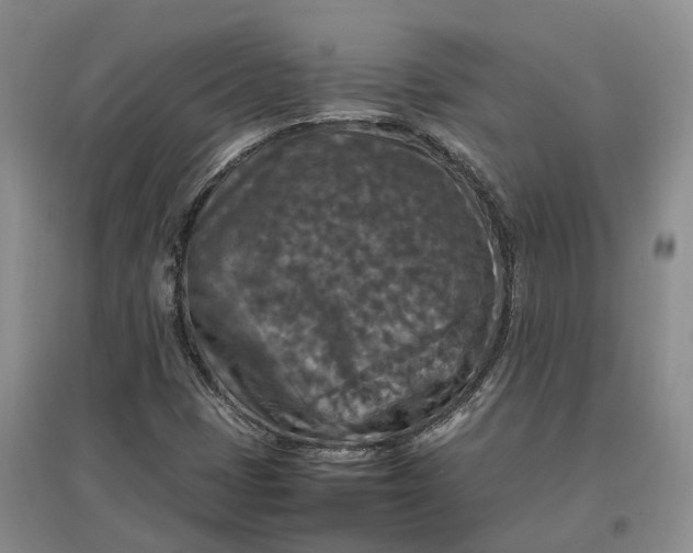 X0000097601401200803141906