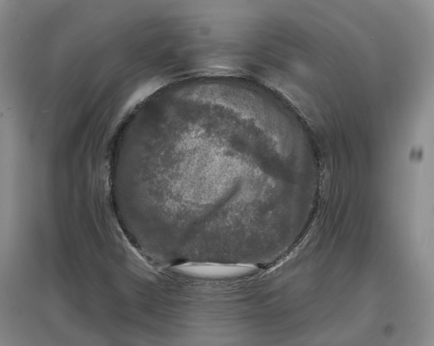 X0000097601402200803141906