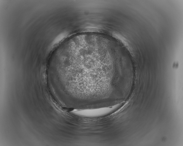 X0000097601403200803141906