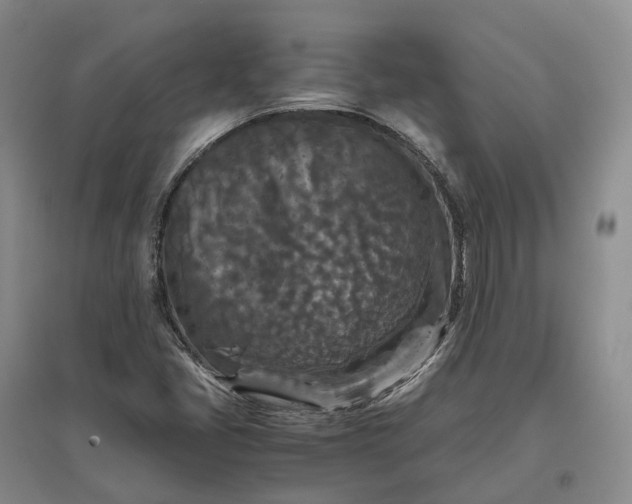 X0000097601405200803141906
