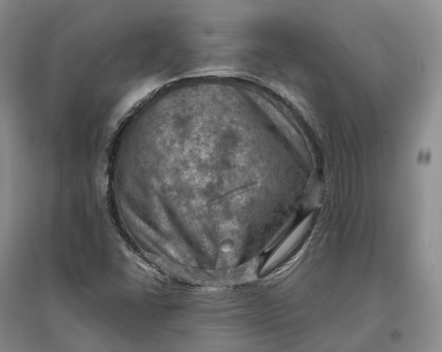 X0000097601406200803141906
