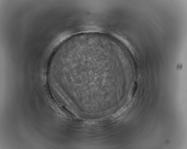 X0000097601407200803141906