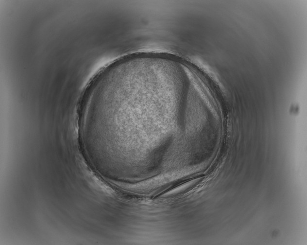 X0000097601408200803141906
