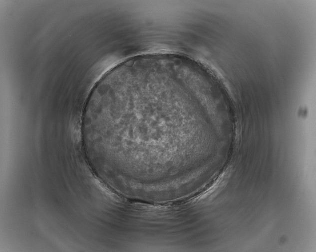 X0000097601409200803141906