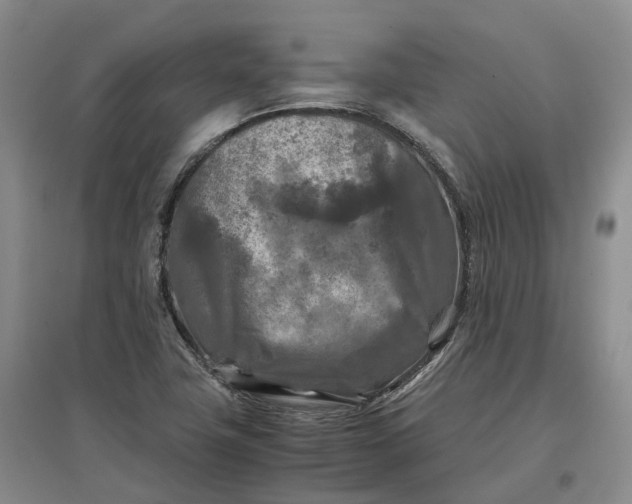 X0000097601411200803141906