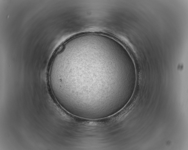 X0000097601412200803141906