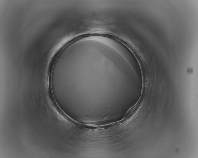 X0000097601414200803141906