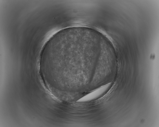 X0000097601415200803141906