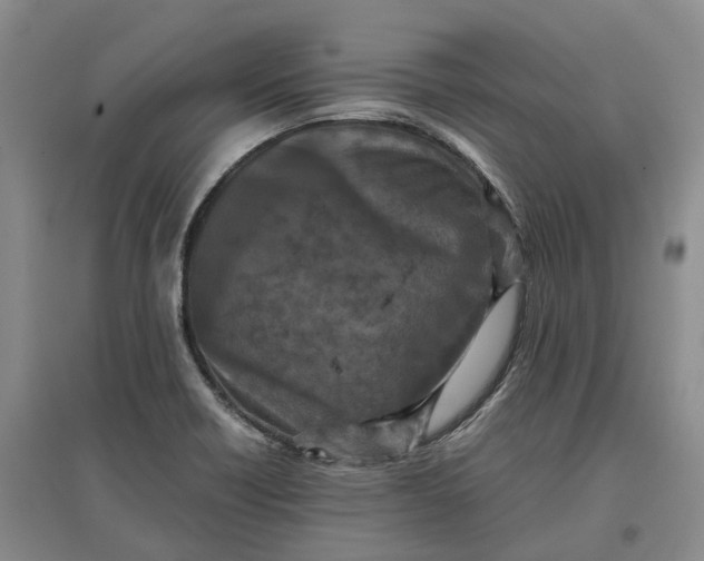 X0000097601418200803141906