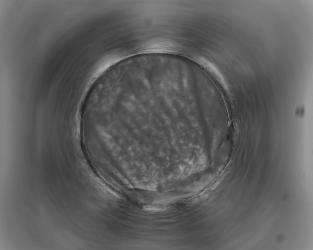 X0000097601419200803141906