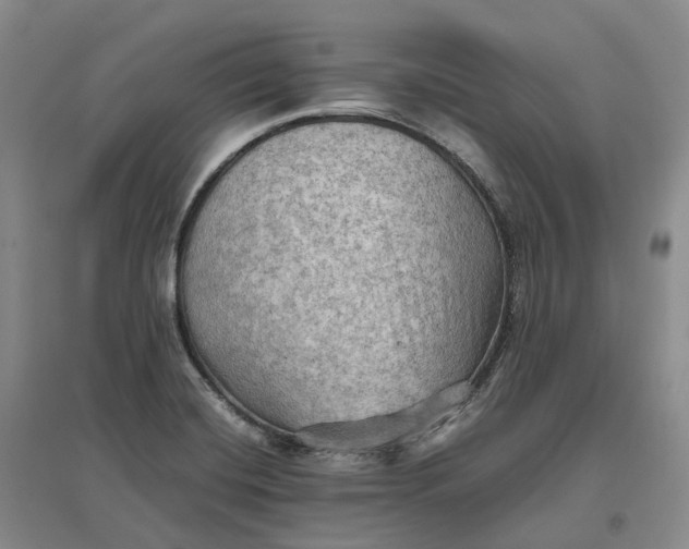 X0000097601420200803141906