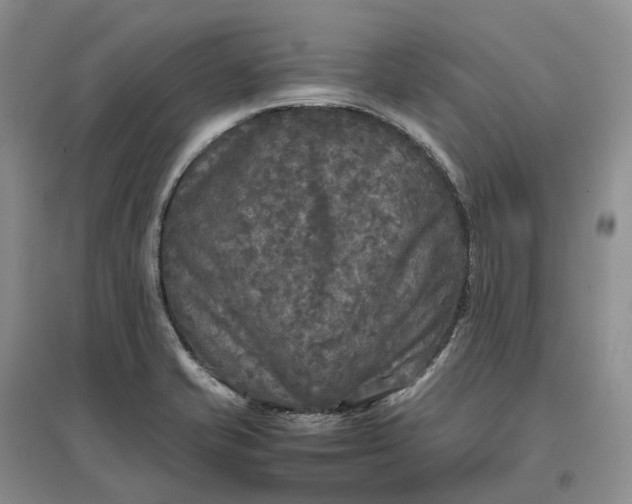 X0000097601421200803141907