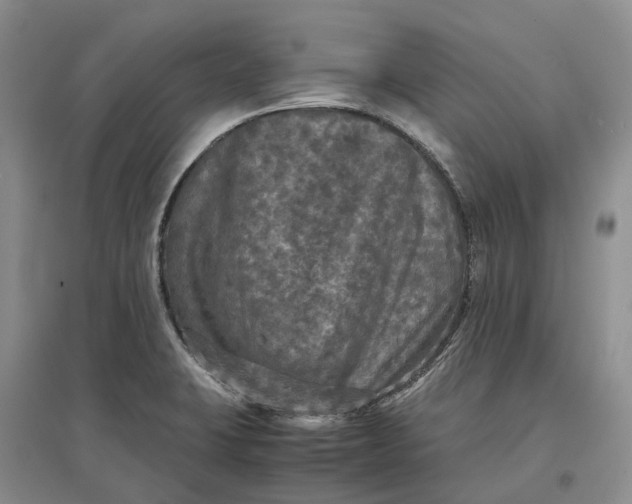 X0000097601423200803141907