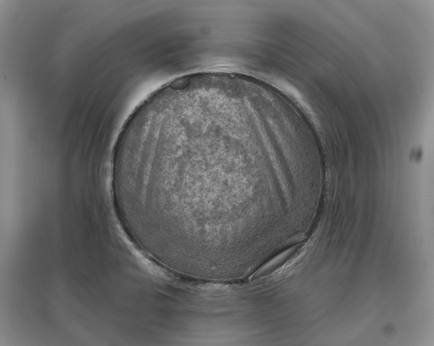 X0000097601424200803141907