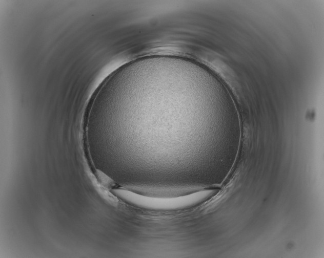 X0000097601426200803141907