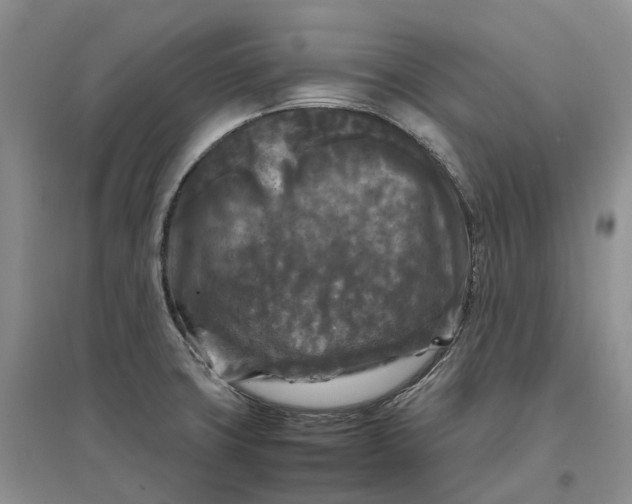 X0000097601427200803141907