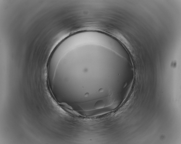 X0000097601428200803141907