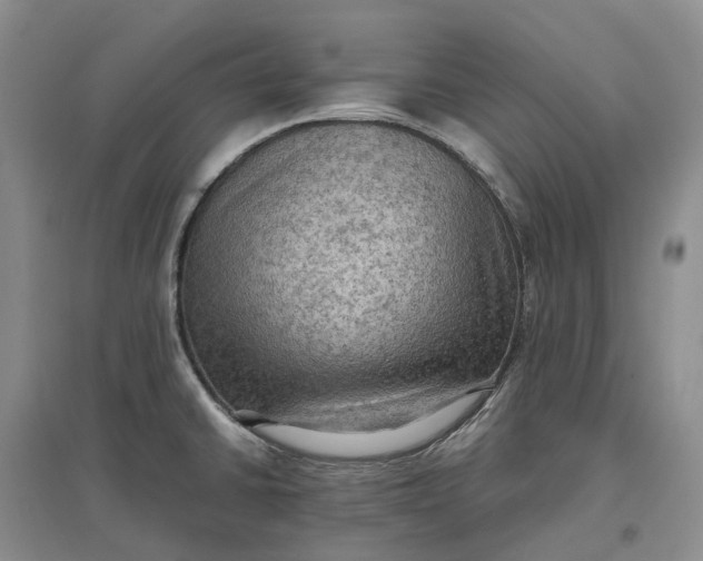 X0000097601430200803141907