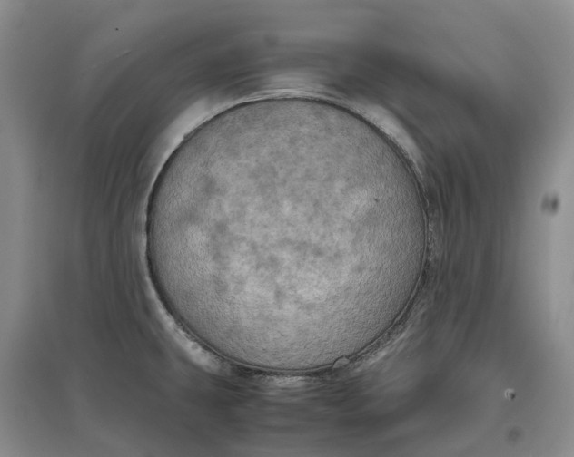X0000097601431200803141907