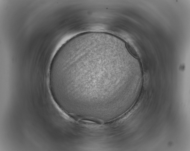 X0000097601432200803141907