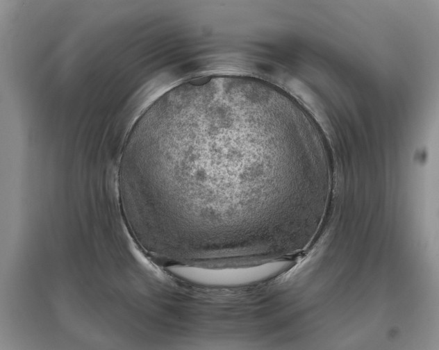 X0000097601433200803141907