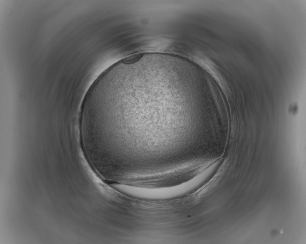 X0000097601434200803141907